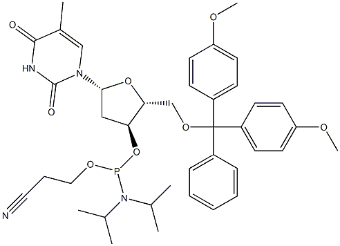 5' - (4,4' - 二甲氧基三苯基) - 3' - 脱氧胸苷 2' - (2 - 氰乙基 - N, N-二异丙基) 亚磷酰胺