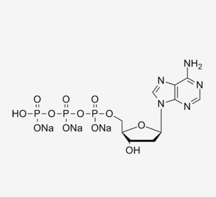 Sal DATP do sódio na solução 2' do PCR 100mM - Deoxyadenosine-5'-Triphosphate CAS 1927-31-7