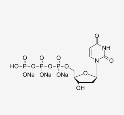 Solução incolor 2' de 100mm - Deoxyadenosine-5'-Triphosphate 5' - DATP em PCR CAS 1927-31-7